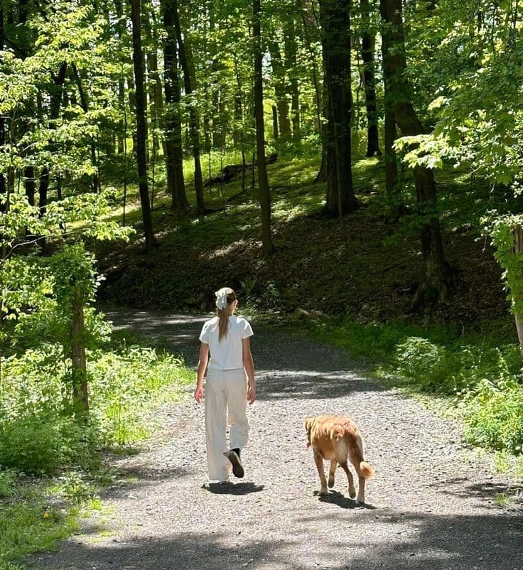 Vancouver Canine Dog Walking