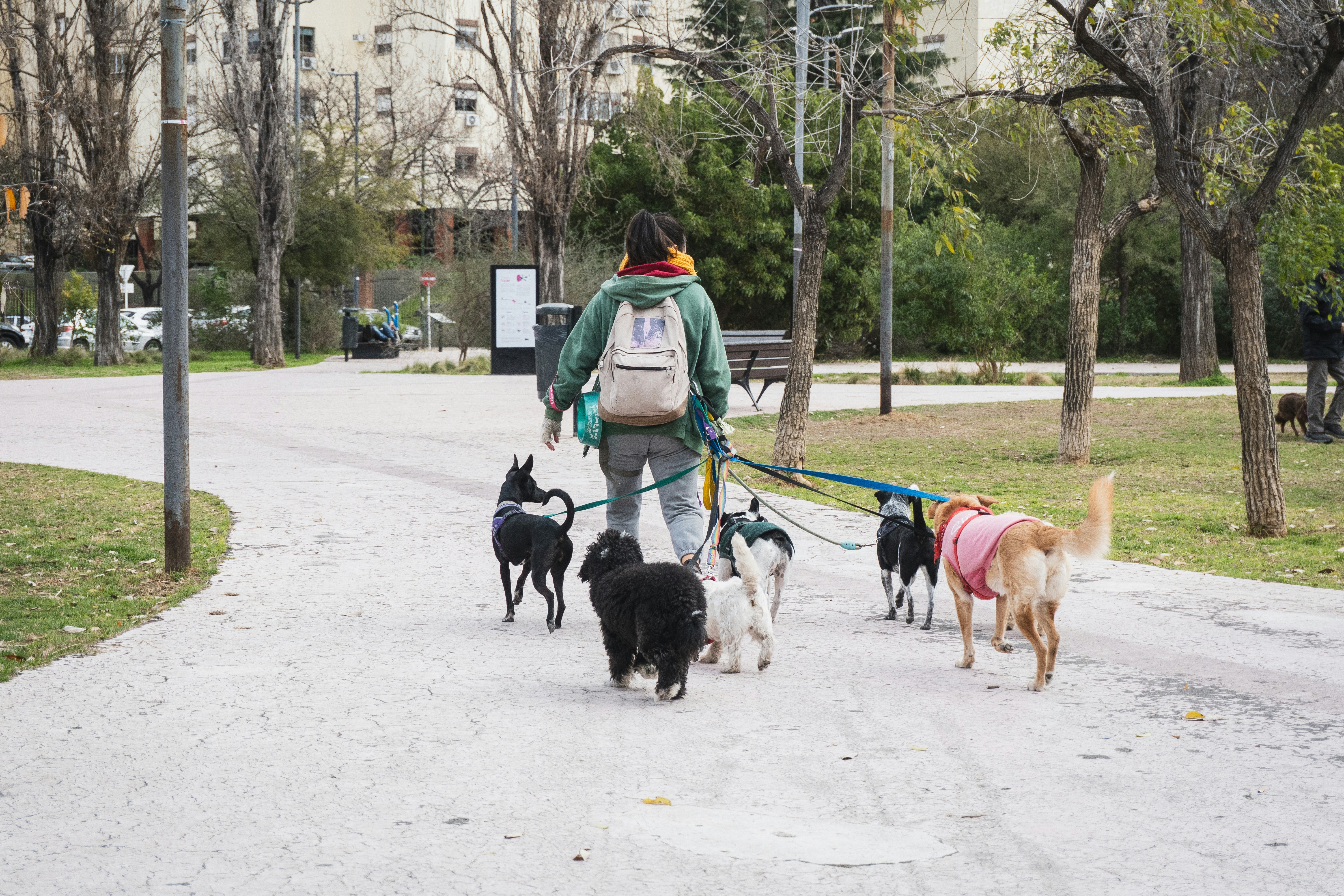 Happy Paws Dog Walking